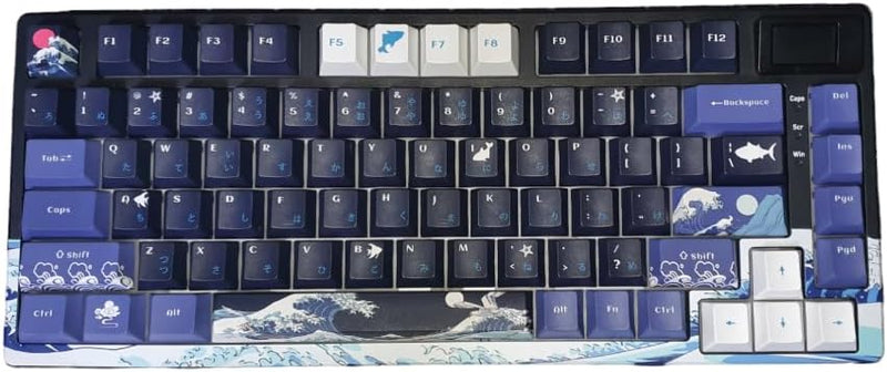 Teclado Profisional Wired SK80